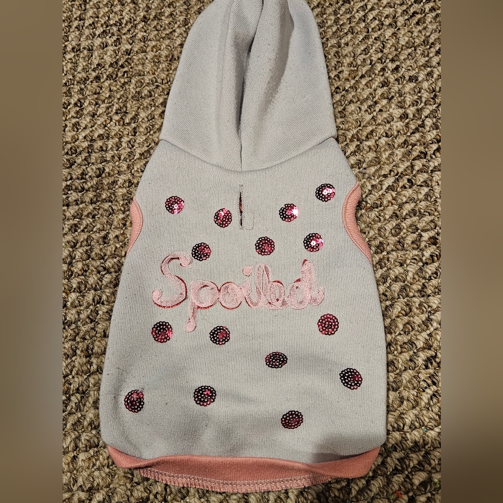 Great Choice Gray Spoiled Dot Hoodie Size Small